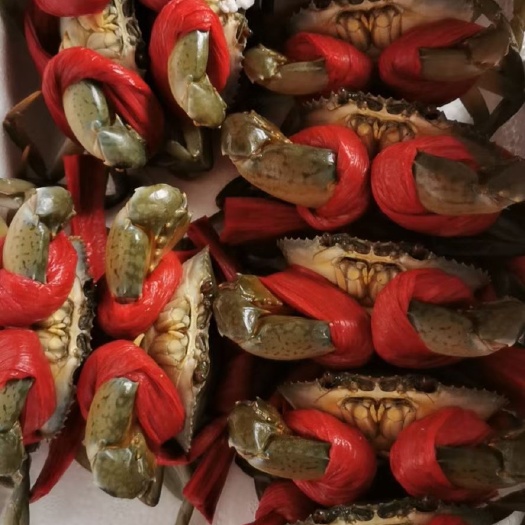 宁波 三门青蟹