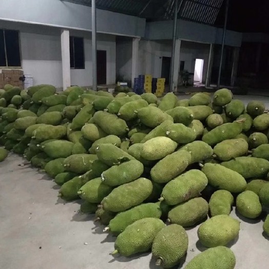 临高县海南黄肉菠萝蜜15-40斤包邮包售后
