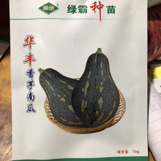 遂溪县华丰香芋南瓜种子