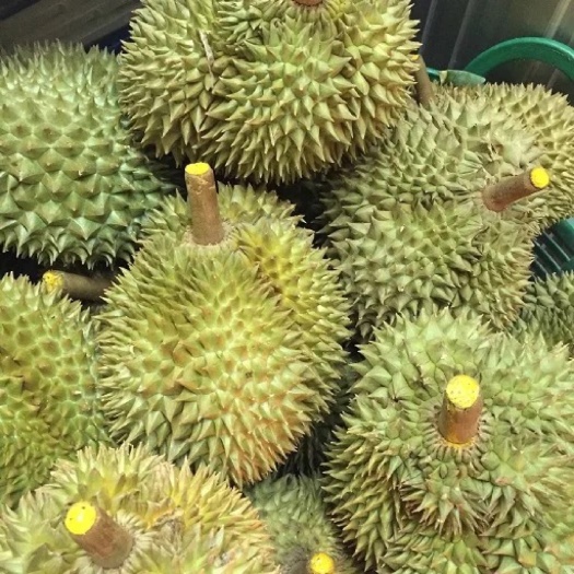 昆明金枕榴莲 泰国工厂直供金枕头榴莲