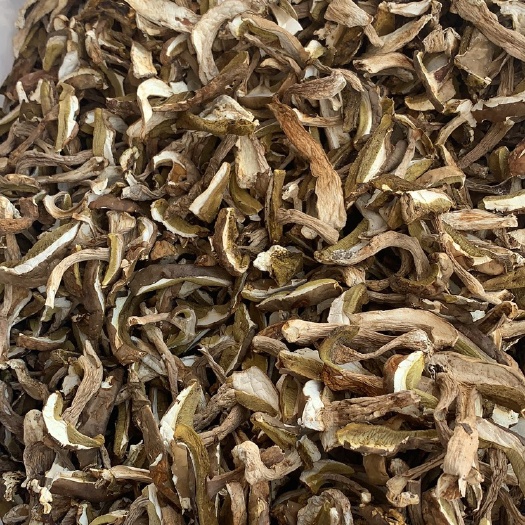 寻甸县野生菌 美味牛肝菌