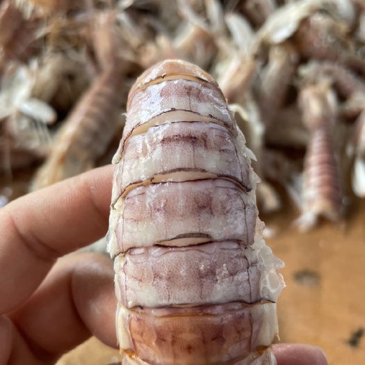 北海批发一手熟冻皮皮虾，膏虾质量好