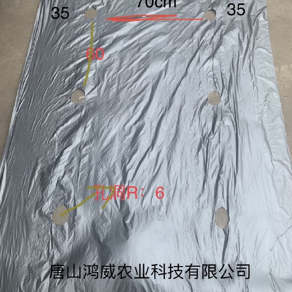 打孔地膜  河北 银灰打孔地膜 黑地膜打孔地膜根据图纸生产