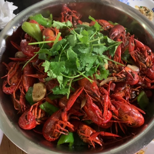 响水县 小龙虾，青虾，麻青