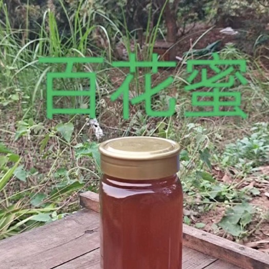 梧州蜂蜜、百花蜜