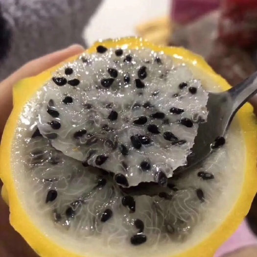 广州燕窝火龙果