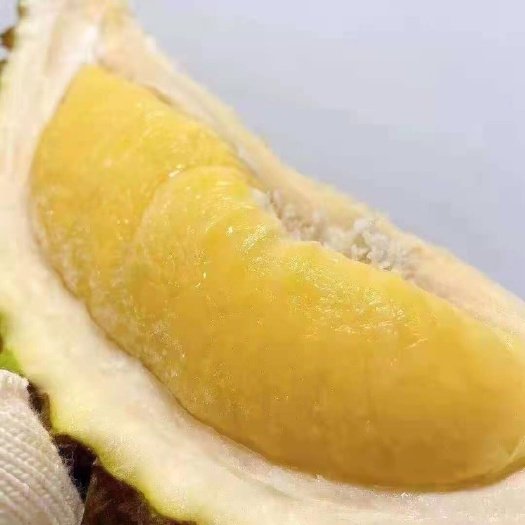 杭州金枕榴莲 榴莲