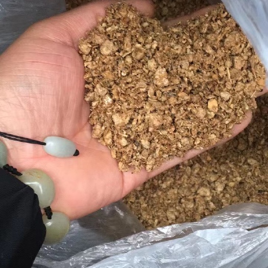 石家庄食用菌渣  鲜金针菇渣