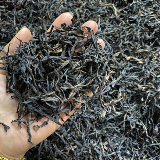 汕头单丛茶 单枞口粮茶、中熟型