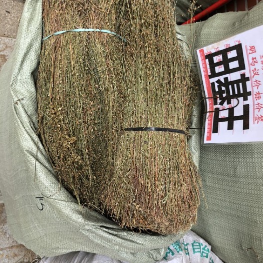 玉林 广西中药材田基黄干地耳草黄花草雀舌草整株田基王干品500