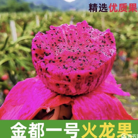 南宁 金都一号火龙果，水果基地直发包邮