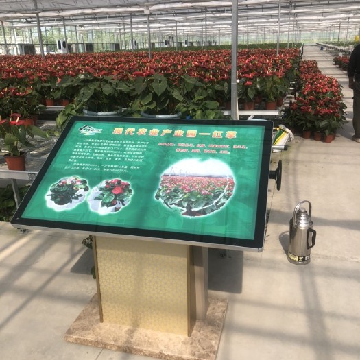 德州种植大棚 膜连胨