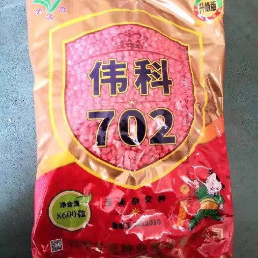 聊城伟科702 种子