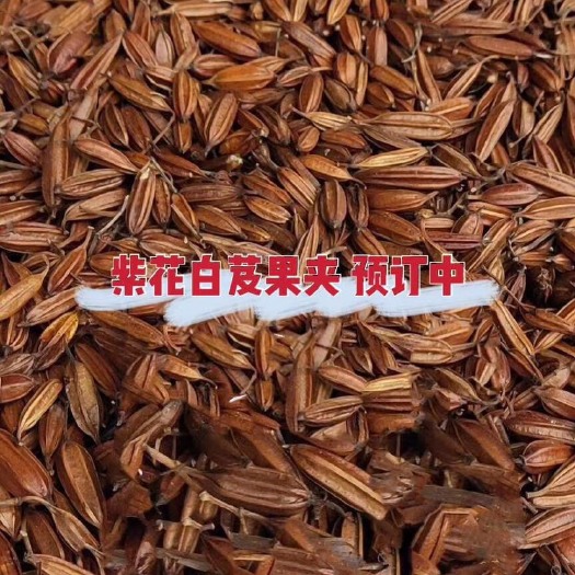 钟祥市白芨种子，白芨果夹，基地采摘、成活率高，发芽快