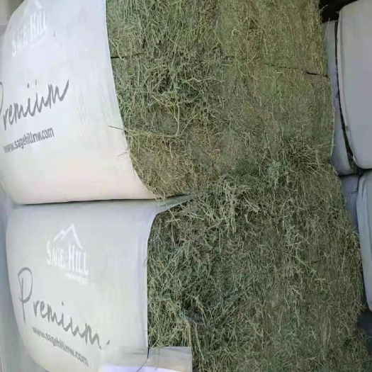 天津苜蓿草饲料  苜蓿草 苜蓿供应