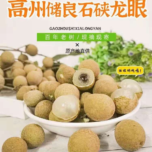 高州市广东省高州市龙眼新鲜桂圆水果石硖/储良一件代发