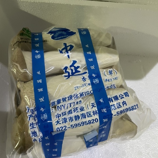 北京鲜杏鲍菇  中研杏鲍菇