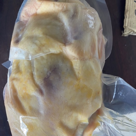 肉鸡  现宰，新鲜，真空包装，三年以上黄油老母鸡，煲汤专用鸡