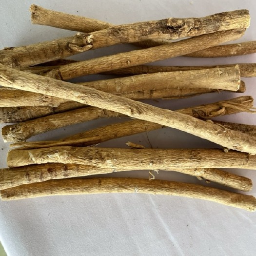 固阳县 正蒙黄芪