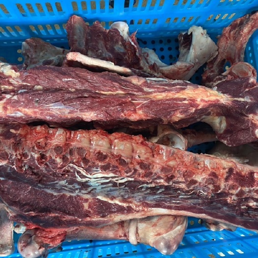 兰陵县新鲜脊骨带肉驴马骨新鲜现杀带皮驴马脊骨驴马架整套驴架子山东正