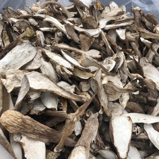 莫旗季美味牛肝菌干片 味道鲜美 值得品尝