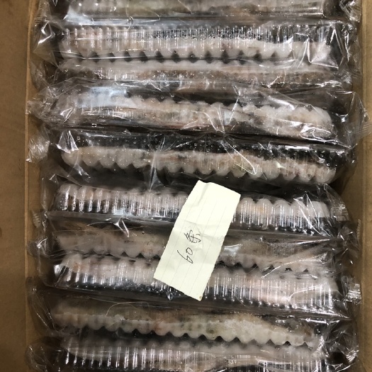 上海中国对虾  白对虾