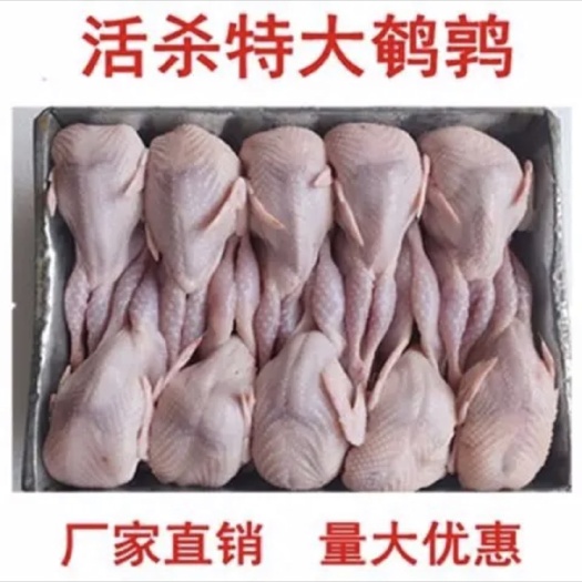 巨鹿县现杀鹌鹑白条