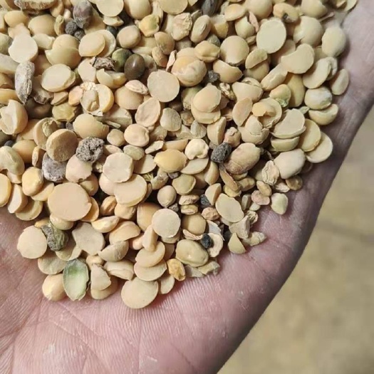 靖宇县黄豆瓣 黄豆 豆瓣
