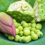 祁阳市湘莲 现摘现发新鲜嫩莲子米生吃