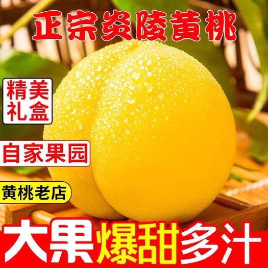 炎陵县锦绣黄桃  黄桃