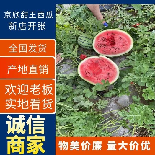 东北京欣西瓜，地雷甜王