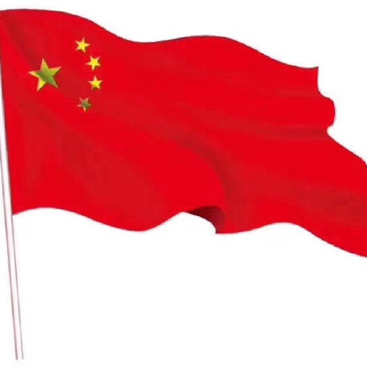 汕头潮汕牛肉丸批发