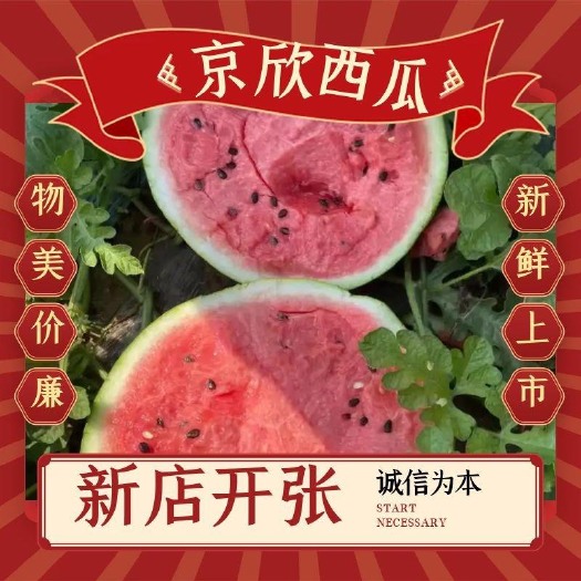 乾安县京欣西瓜  东北吉林地雷瓜 甜王瓜