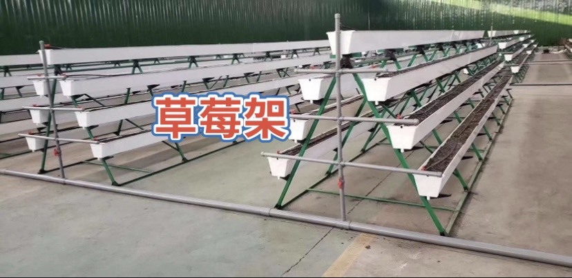 天津大棚骨架  草莓架及无土栽培架均可定制 无焊接全部使用包塑材