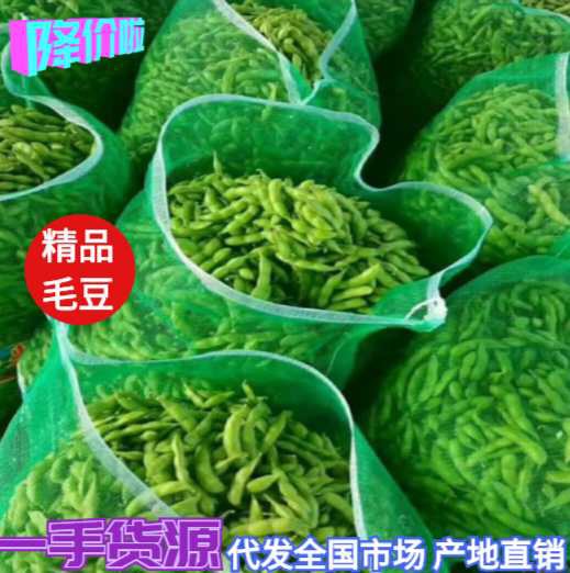 郯城县精品翠绿宝毛豆大量供应，货源充足，保质保量，物流全国
