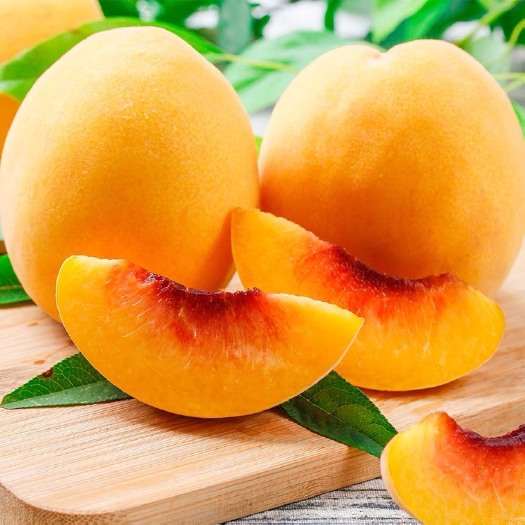 连云港 新鲜黄桃现摘应季新鲜水果、超甜、黄桃罐头、黄桃鲜奶