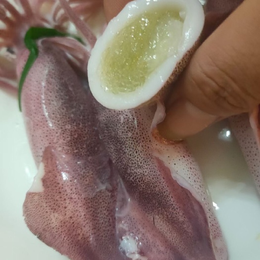东山县枪乌贼 带籽母管，只只有米