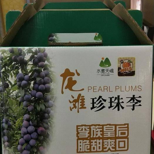天峨县李子 天峨龙滩珍珠李，精品大果