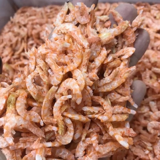 阳江虾干  虾米