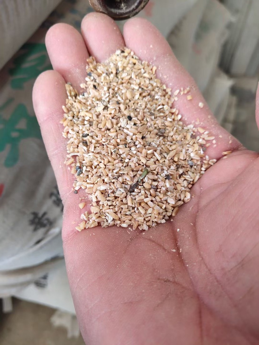 碎麦、碎小麦精选优质高品质批发饲料厂家直供批发价格便宜养殖用