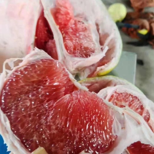 梅州红肉蜜柚三红蜜柚产区直供、代办加工