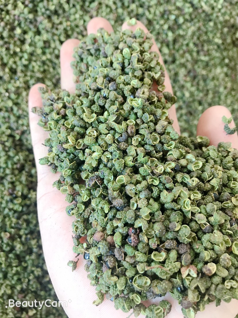 盐边县青花椒  干花椒