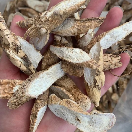 广东牛大力 足干无硫 很香有粉 中牛