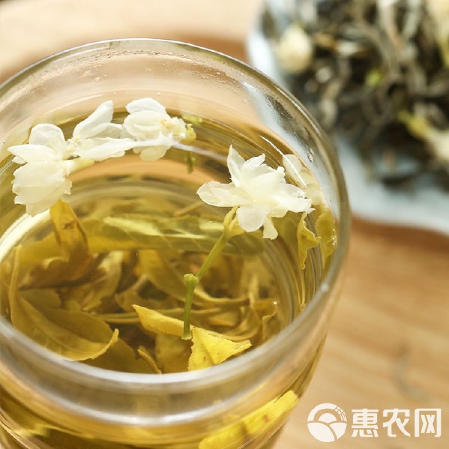 茉莉花茶 浓香 批发价春茶 茉莉花 罐装 广西横县茉莉花茶叶