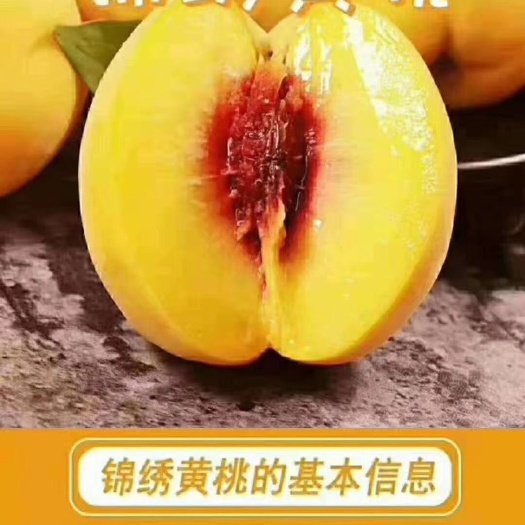江陵县三湖锦绣黄桃