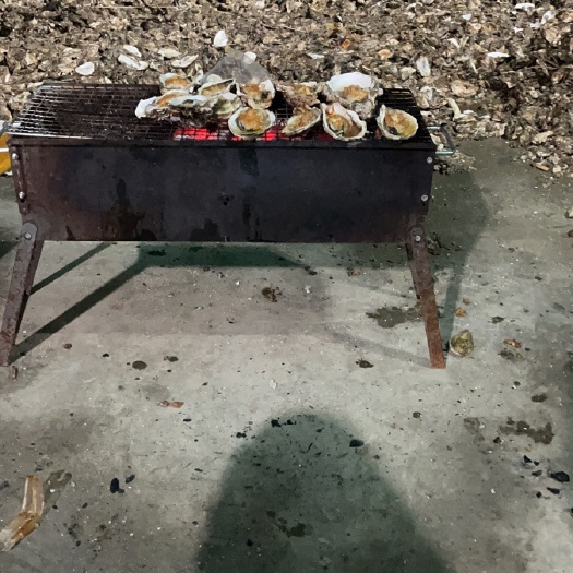 长沙珍珠蚝  福建蚝和三陪体