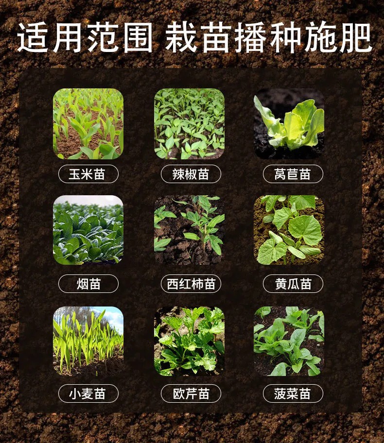 栽苗播种蔬菜种苗栽苗器移栽菜烟苗种菜种辣椒移苗器种工具