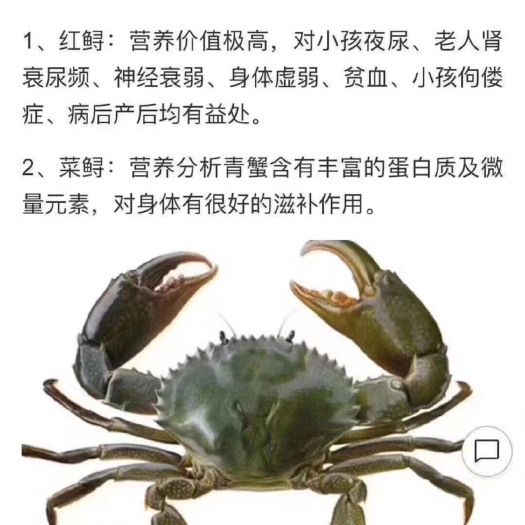 诏安县青蟹 当天下单可直接发货