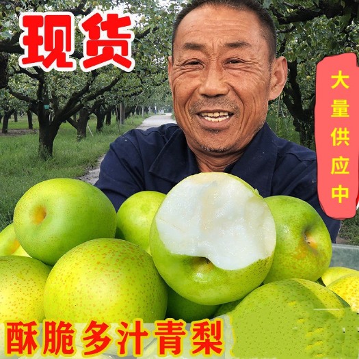 虞城县皇冠梨，口感多汁，脆甜，产地直供