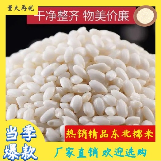 五常市【包邮】热销10斤2020年东北五常新米粽子米 糯米